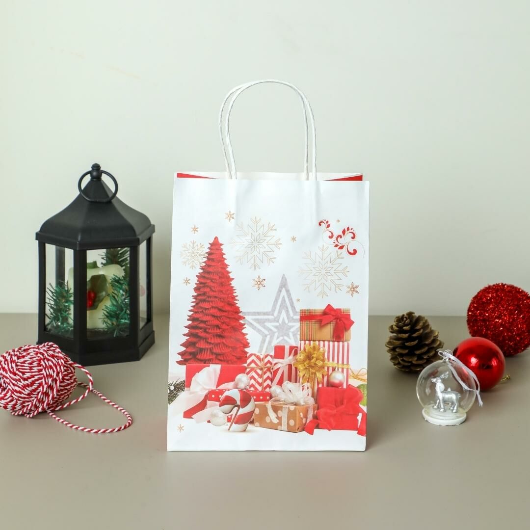 Sarkap Home 3'lü 19x26 Desenli Kraft Kağıdı Poşet Çanta