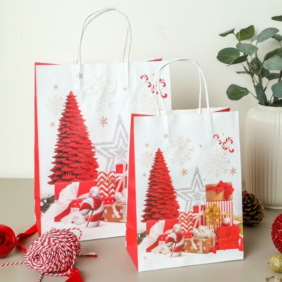 Sarkap Home 3'lü 19x26 Desenli Kraft Kağıdı Poşet Çanta