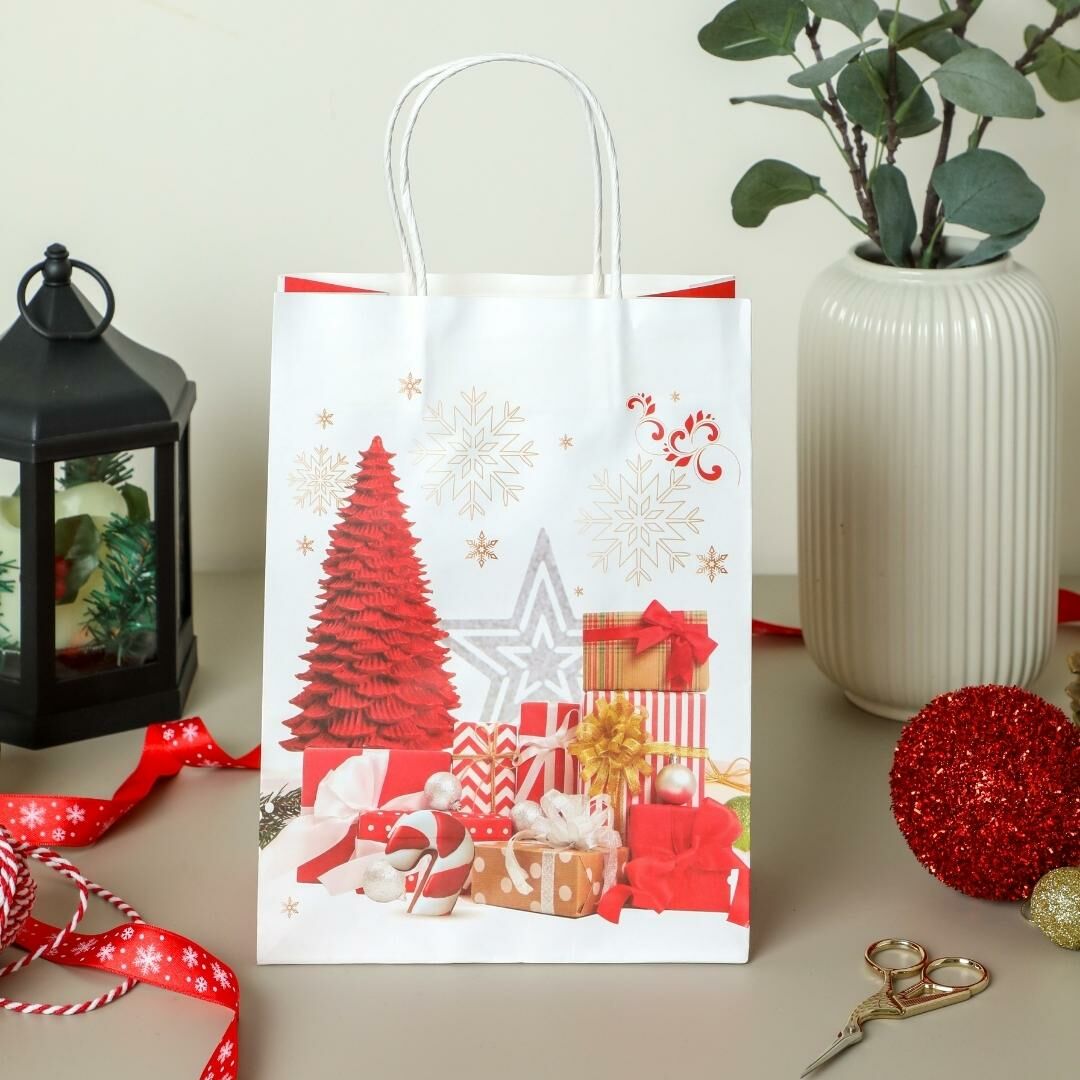 Sarkap Home 3'lü 26x33 Desenli Kraft Kağıt Poşet Çanta