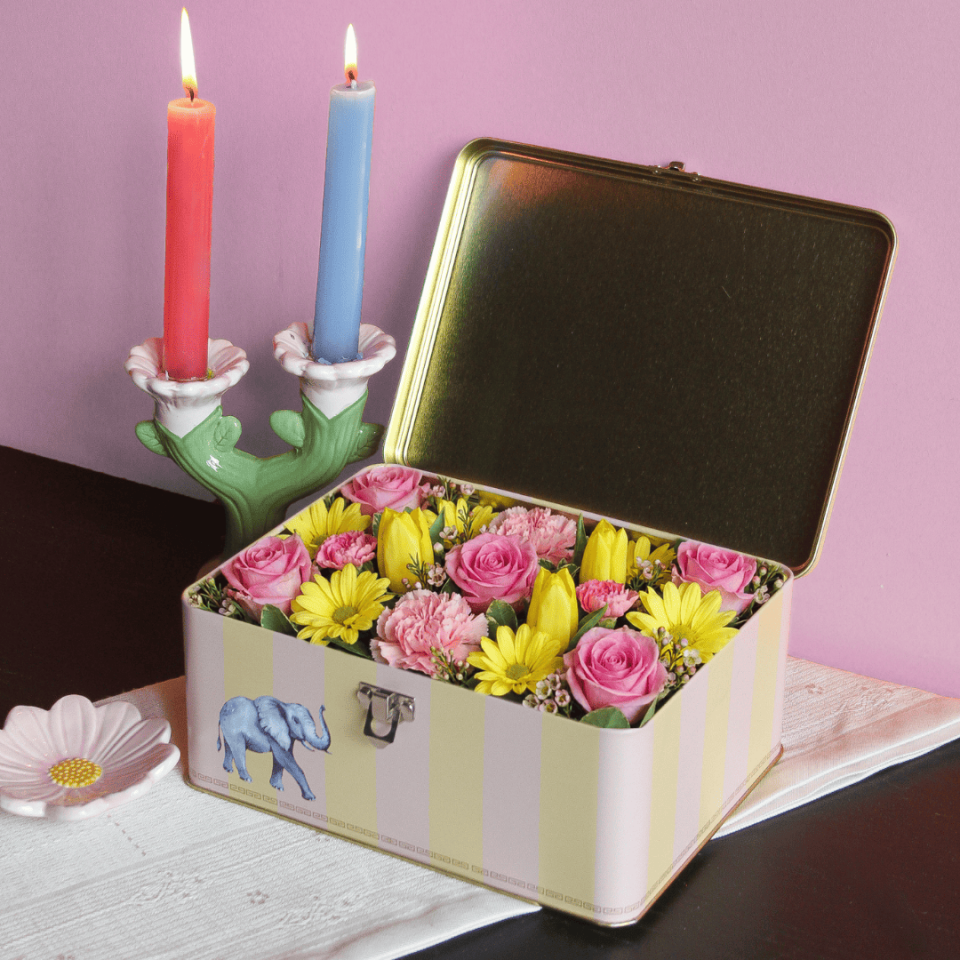 Sarkap Home 3,2 L Menteşeli, Kilitli Metal Saklama Kutu 217x165x90 mm SARI