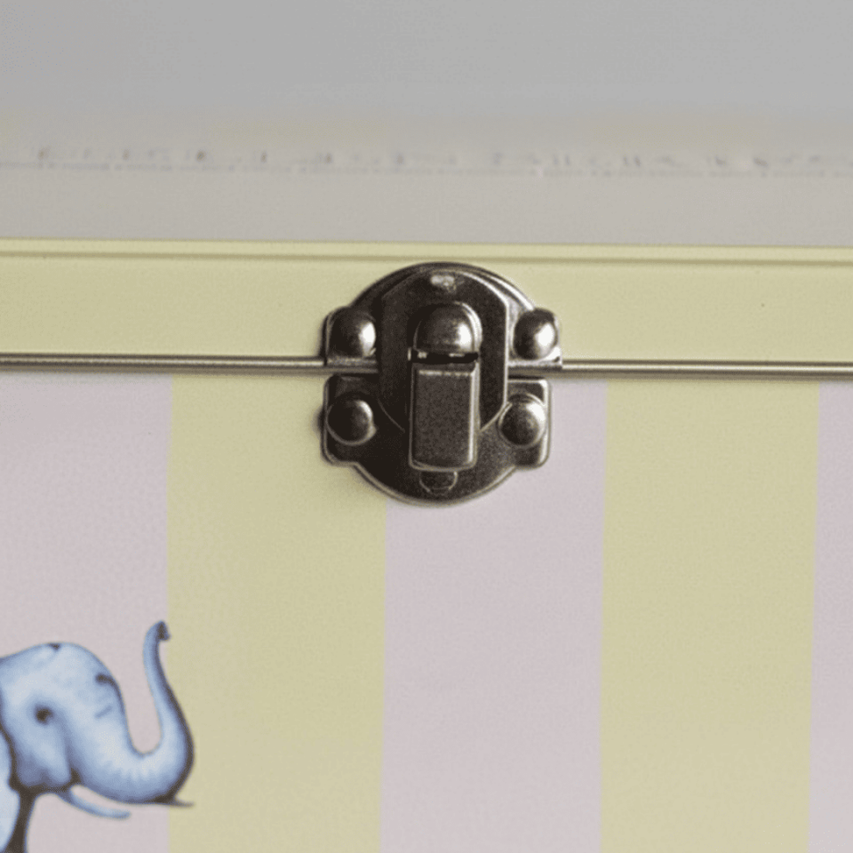 Sarkap Home 3,2 L Menteşeli, Kilitli Metal Saklama Kutu 217x165x90 mm SARI