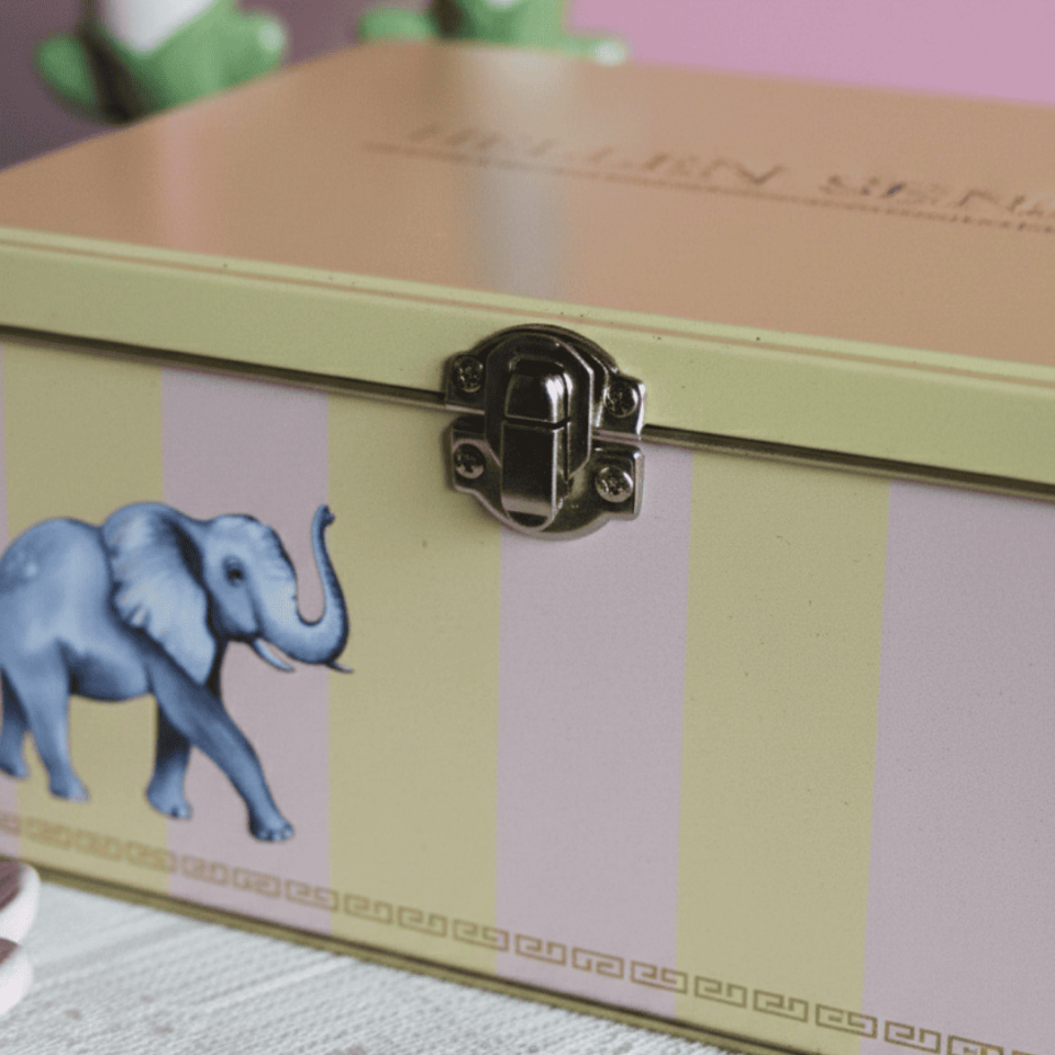 Sarkap Home 3,2 L Menteşeli, Kilitli Metal Saklama Kutu 217x165x90 mm SARI