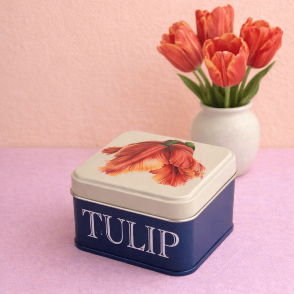 Sarkap Home 73x42 mm 5'li Snack Box Seti 225 ml