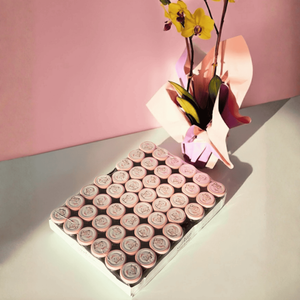 Sarkap Home 47'li 40 ml Cam Kavanoz Seti PembeAyıcık