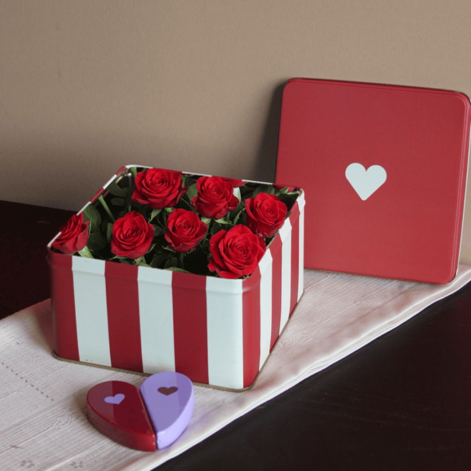 Sarkap Home Desenli Metal Saklama Kutu KırmızıKalp