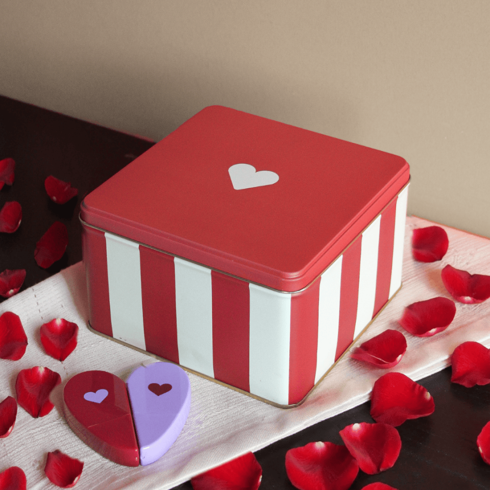 Sarkap Home Desenli Metal Saklama Kutu KırmızıKalp