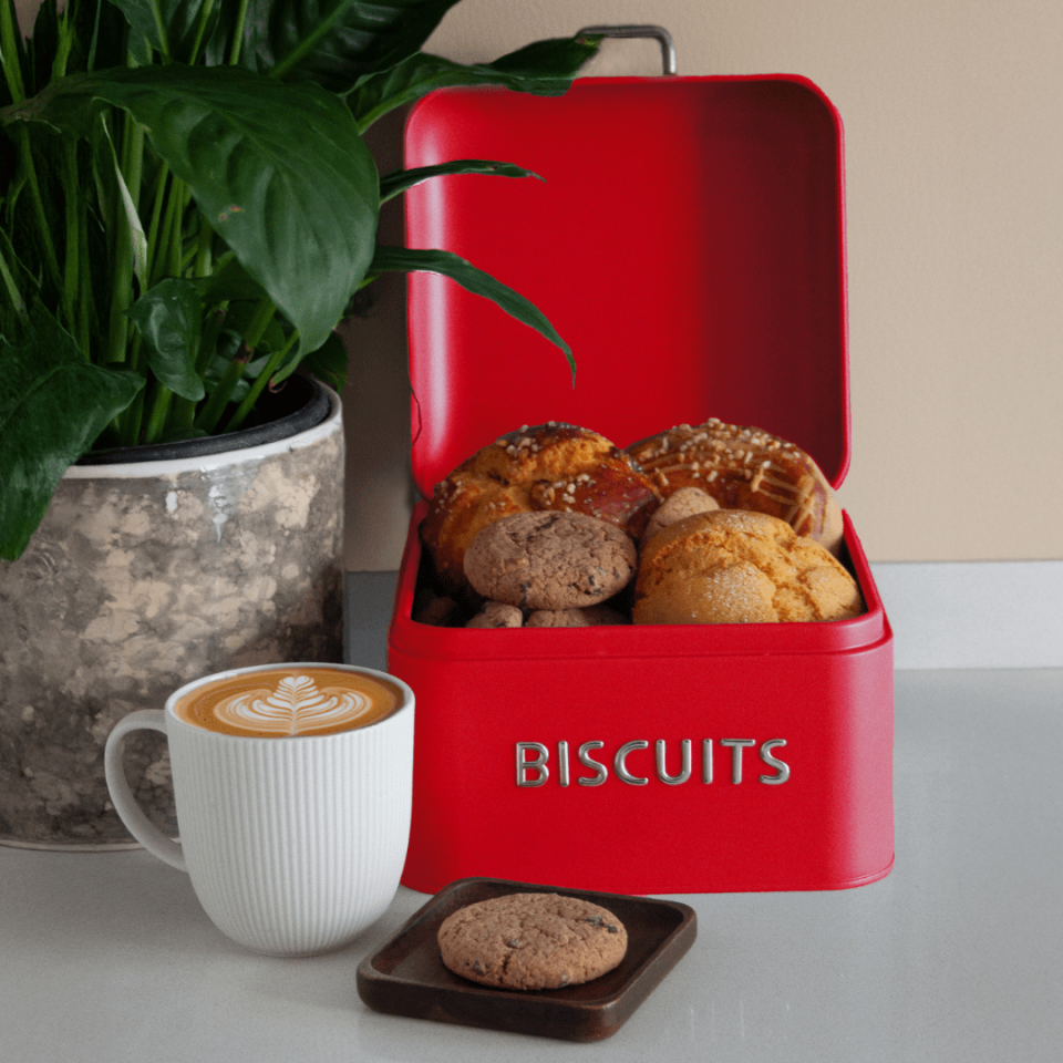 Sarkap Home Biscuits Galvaniz Metal Saklama Kutusu Kırmızı