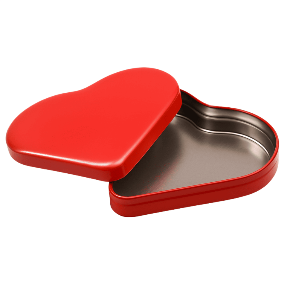 Sarkap Home 2'li Kalpli Kutular Kırmızı&Pembe